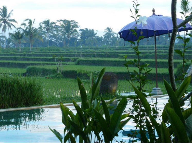 Ubud, Bali__Paul McCarthyiluminar.au