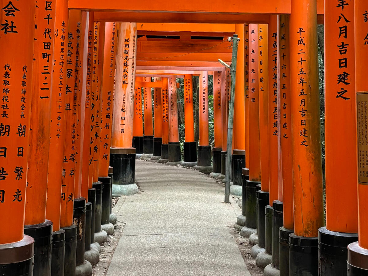 Fushimi Inari Shrine, Japan__Paul McCarthyiluminar.au